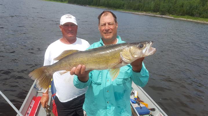 32-inch walleye caught by American man fishing in Canada.