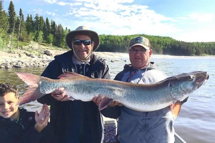 52 inch muskie fish caught in Canada.