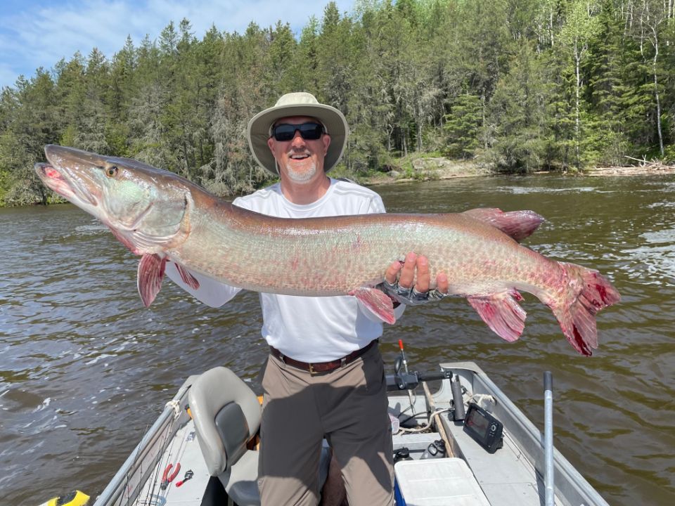 Giant muskie caught at fly-in fishing resort.