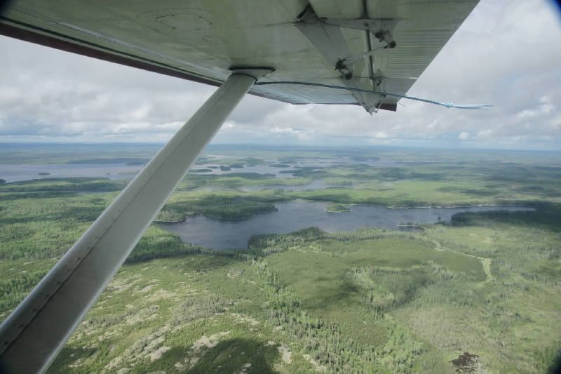 A plane is flying over a lush green landscape with lakes and trees.