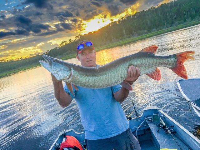 Walleye fishing in Canada with Live Minnows