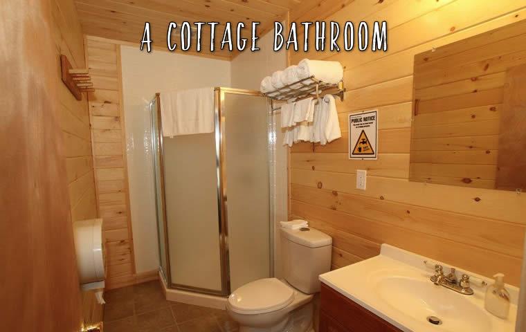 A modern bathroom with clean shower stall, flush toilets, and filtered water.