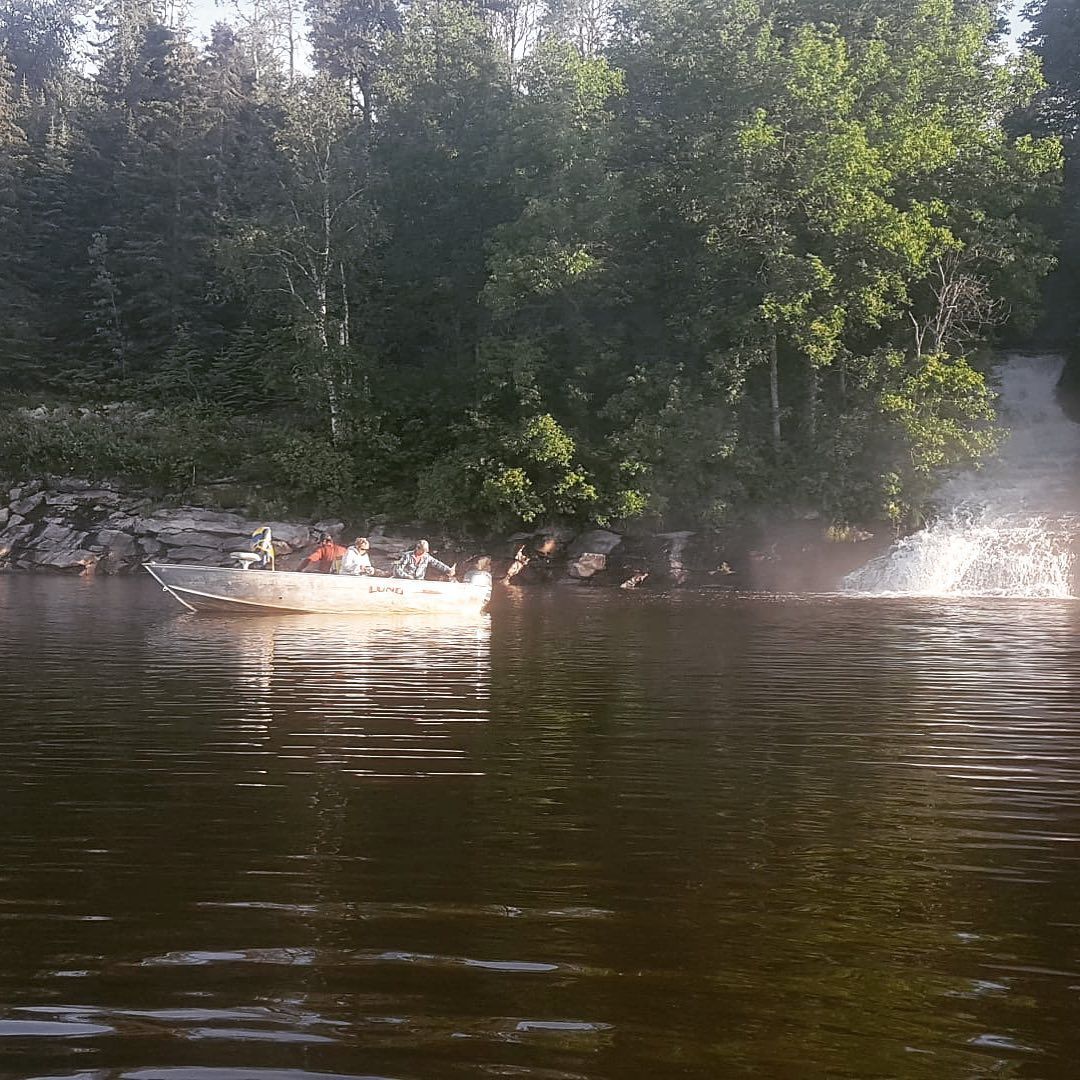 A group of people are rowing a boat on a river surrounded by trees.
