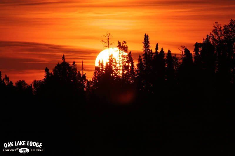 A sunset with oak lake lodge written on the bottom