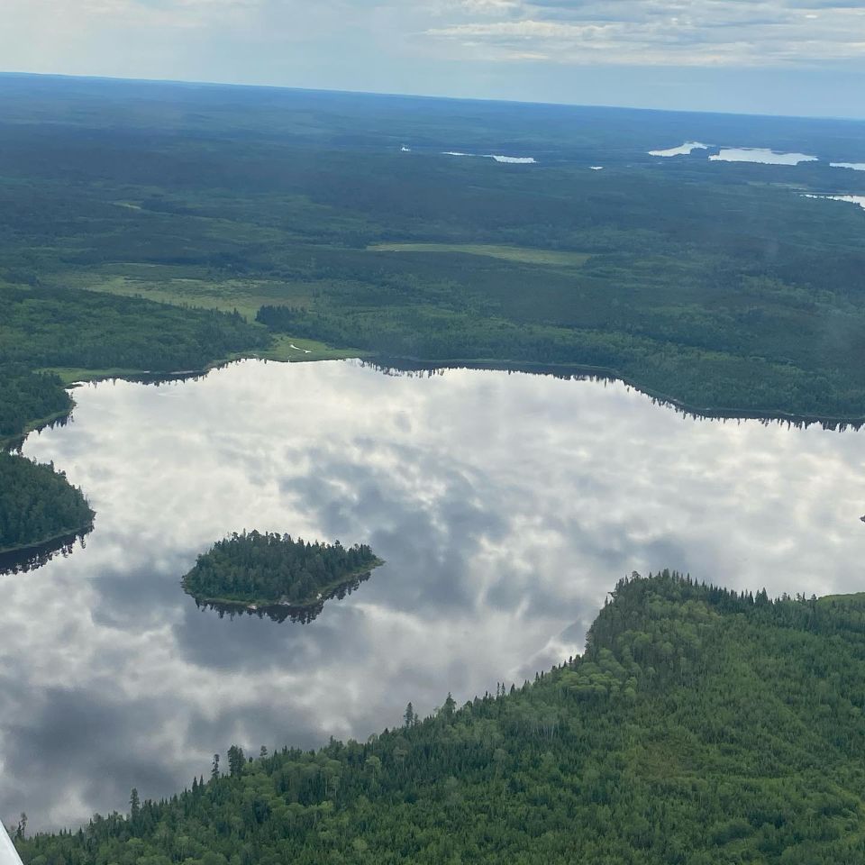 An aerial view of a lake surrounded by trees