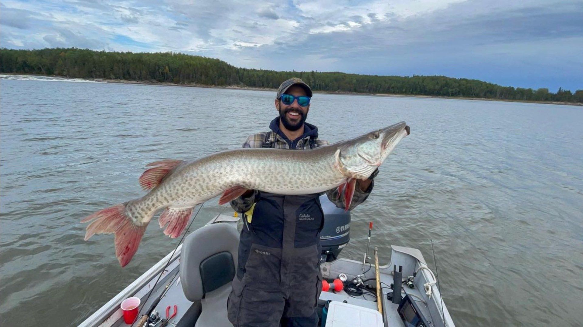 David, a fishing guide, is holding a large muskie in a boat on Oak Lake.