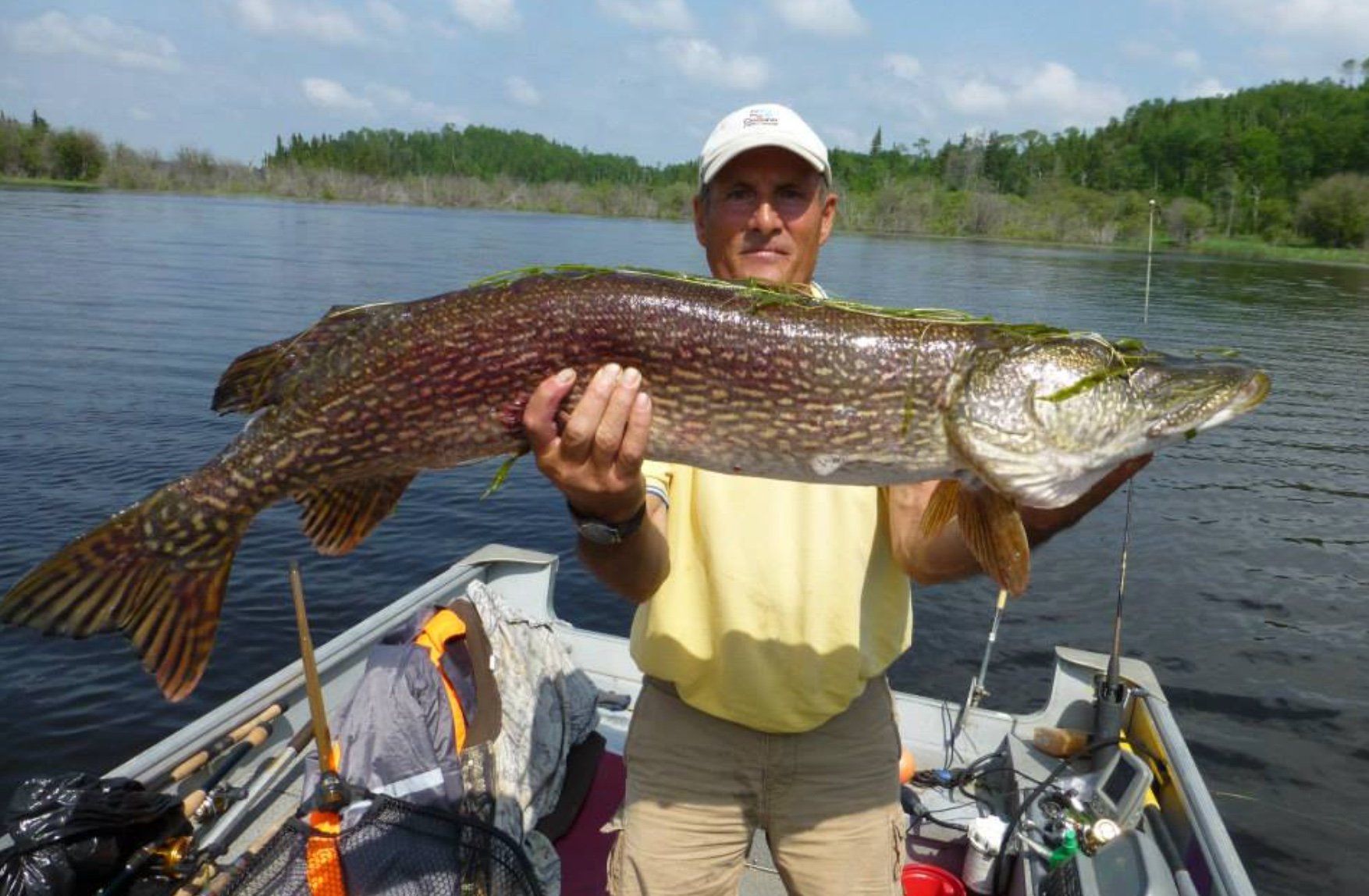 northern pike held my angler in boat.