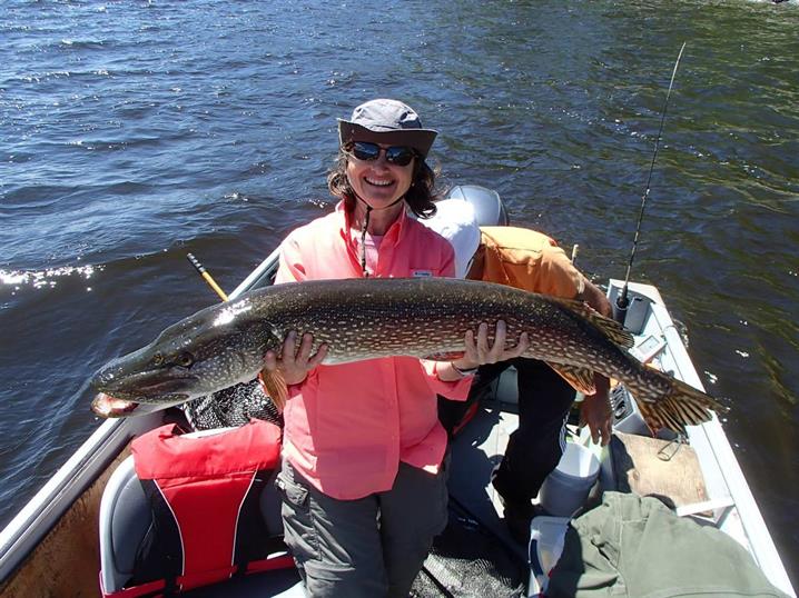 Woman holding a northern pike she caught fly-in fishing in Canada.