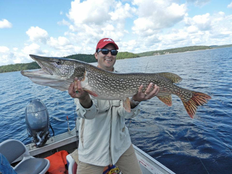 A happy fisherman holding up a huge Northern Pike at Oak Lake.