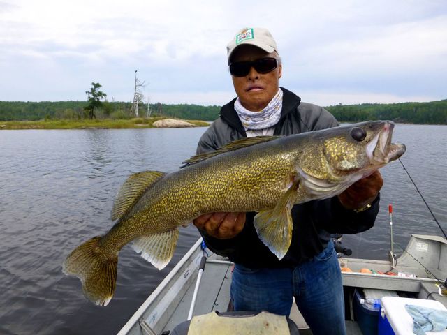 How to Fish for Walleye - Beginners Guide on How to Catch Walleye