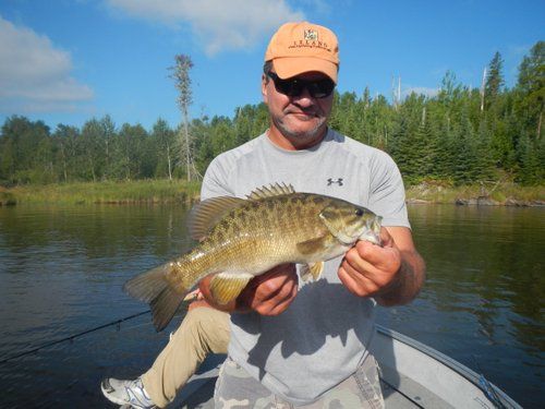 Smallmouth bass fishing ontario canada fly in oak lake lodge