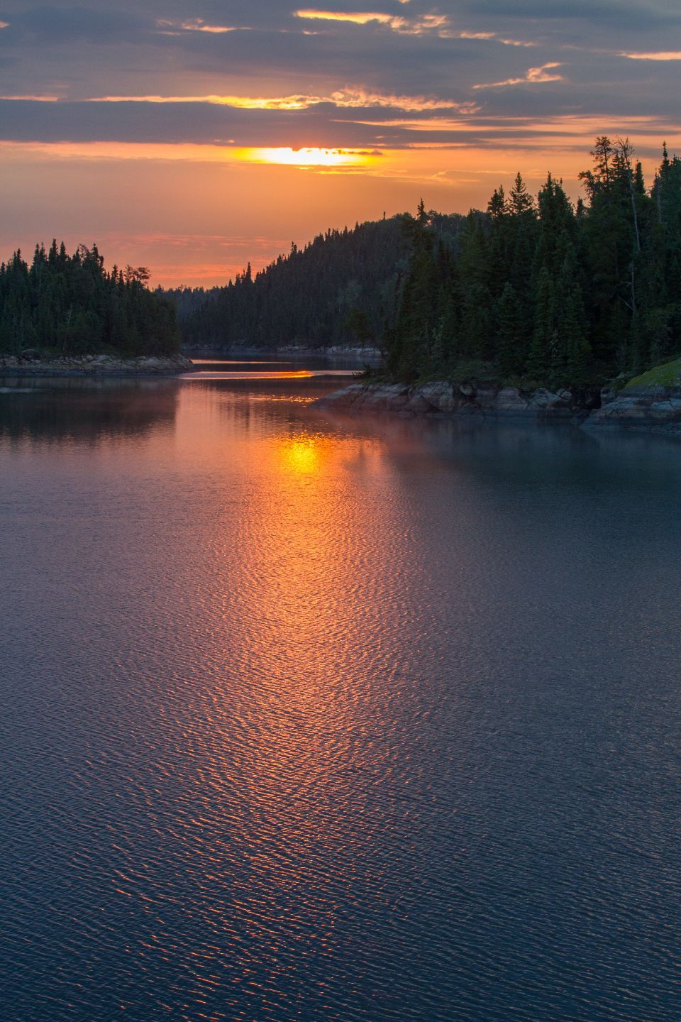 The sun is setting over a lake with trees in the background