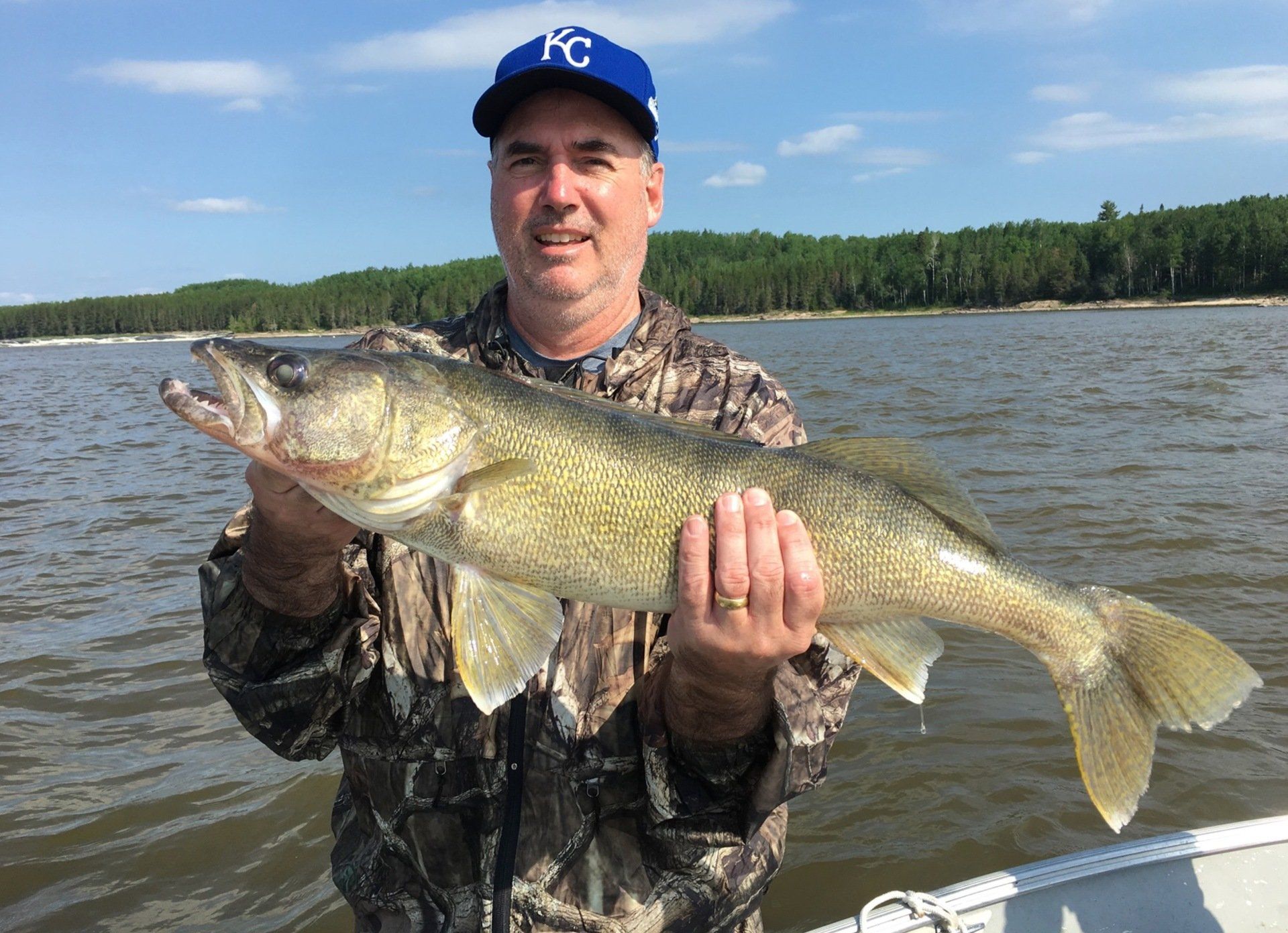 A man in a boat is holding a large walleye fish.