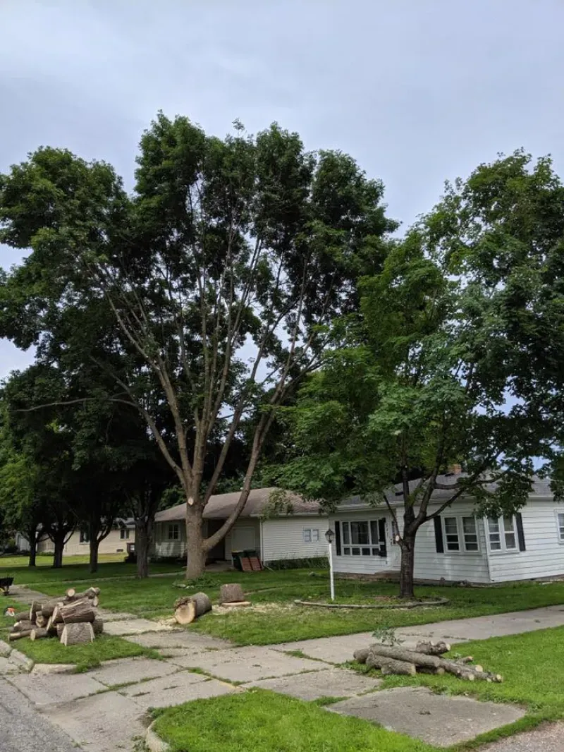 A house with a lot of trees in front of it.
