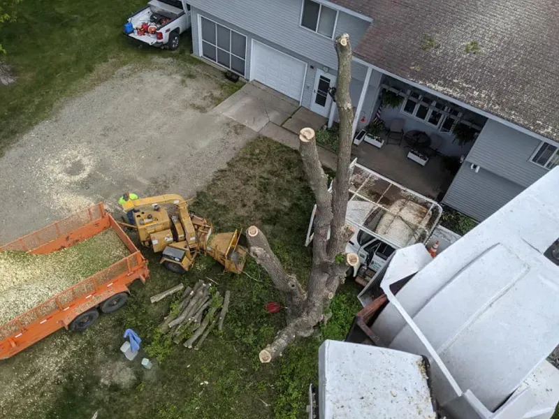 An aerial view of a tree being cut down in front of a house.