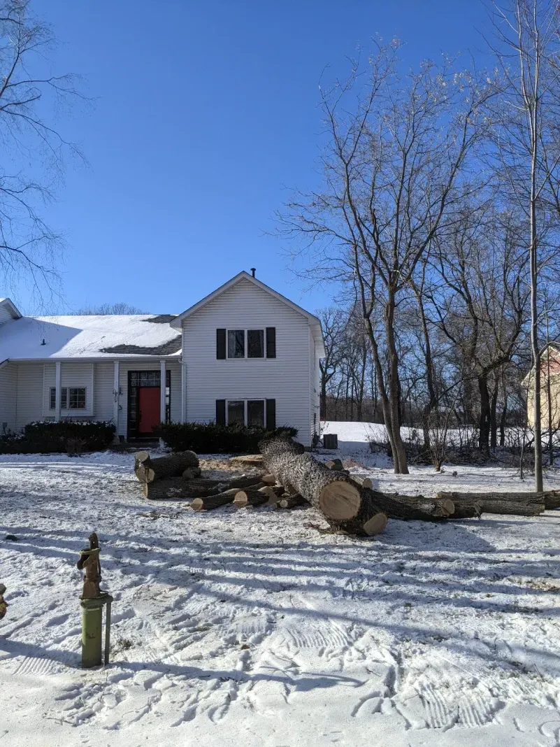 A white house with a red door is surrounded by snow and trees.