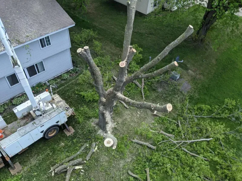 An aerial view of a tree being cut down in front of a house.