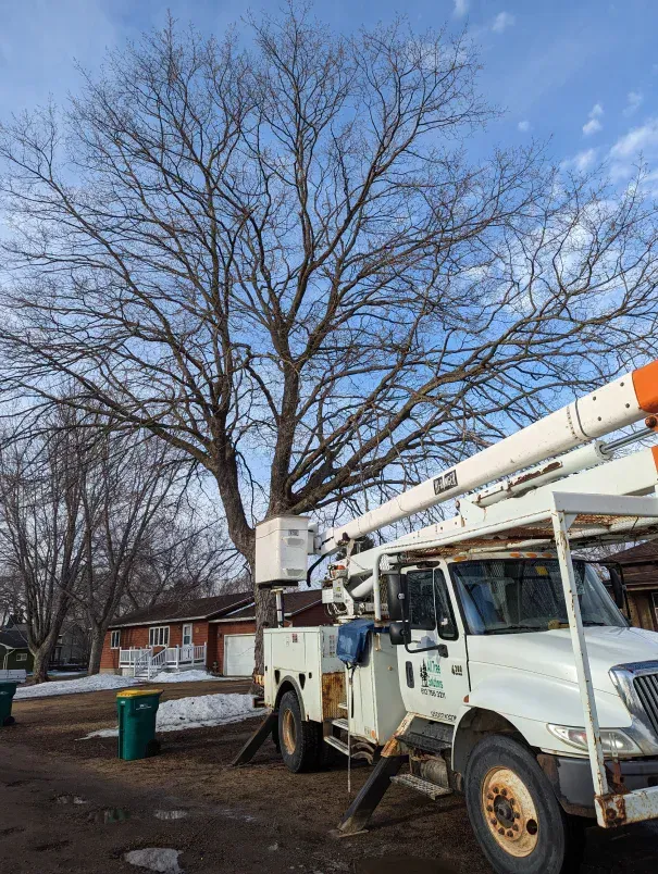 A white truck with a crane on top of it is parked in front of a tree.