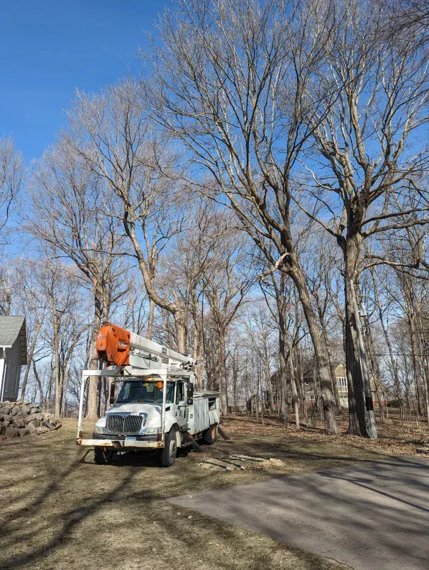 A tree trimming truck is parked on the side of the road next to a tree.