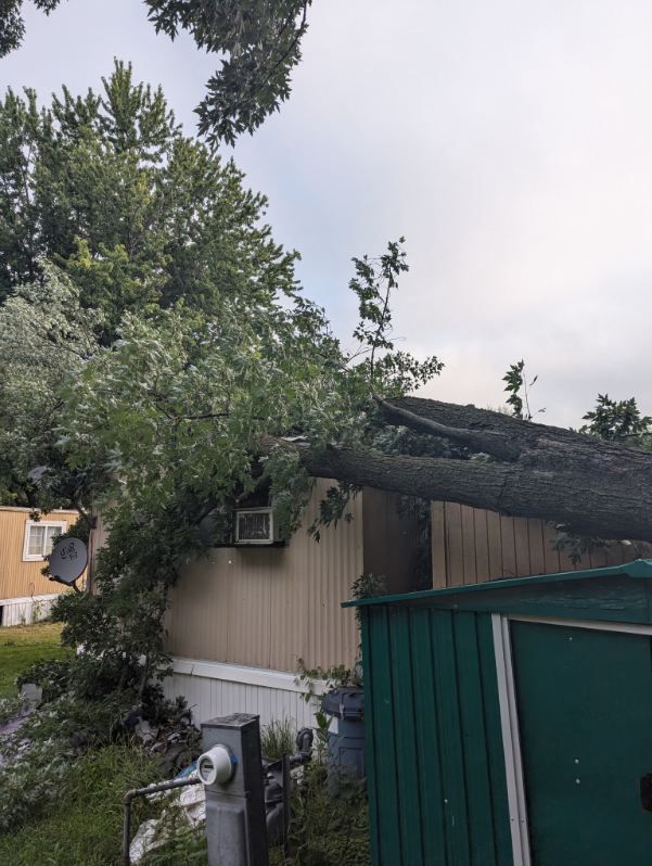 A tree has fallen on top of a mobile home.