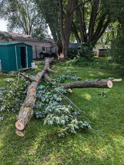 A large tree branch is laying on the grass in a yard.