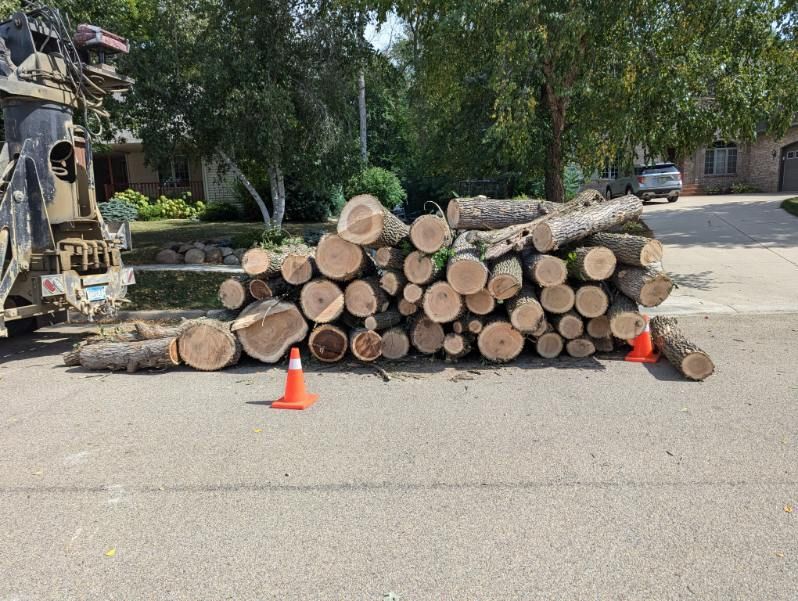A pile of logs is sitting on the side of the road.