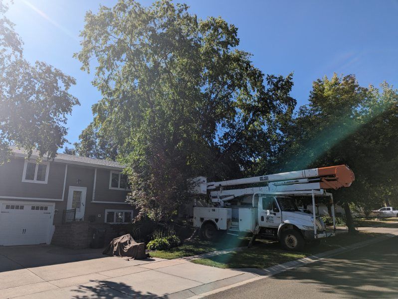 A white truck is parked in front of a house.