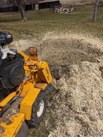 A yellow stump grinder is cutting a tree stump in a yard.