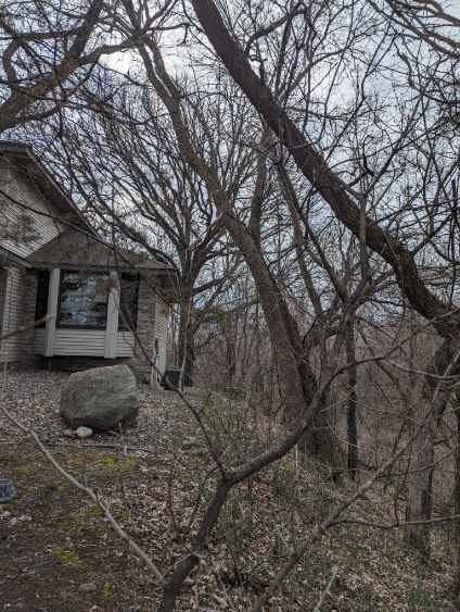 A house is surrounded by trees and a rock in the middle of a forest.