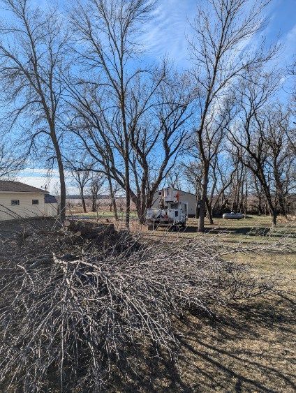 A truck is parked in a field with trees in the background.