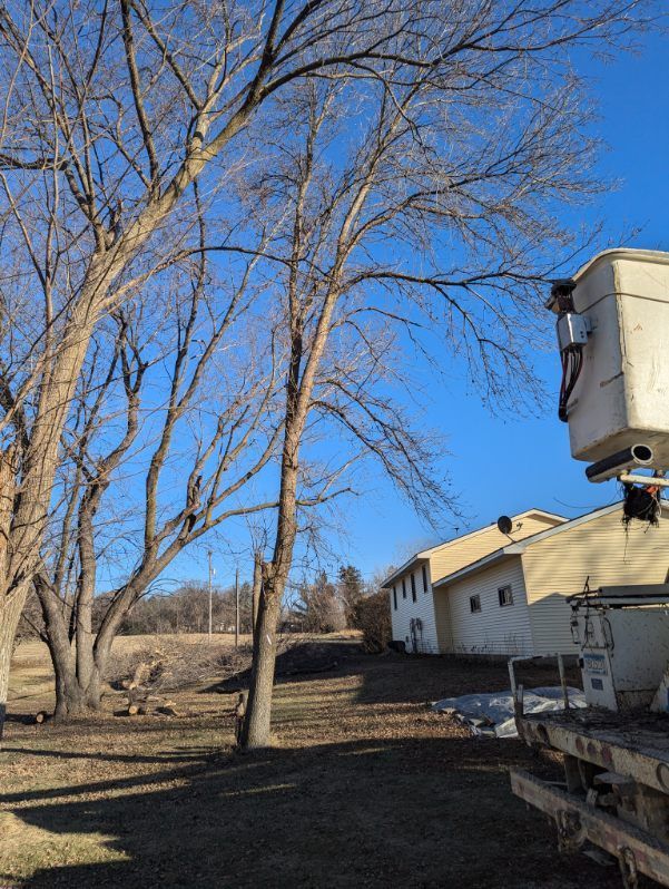 A bucket truck is cutting a tree in front of a house.