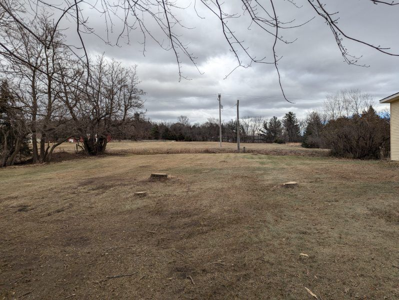 A large dry grass field with trees in the background and a cloudy sky.