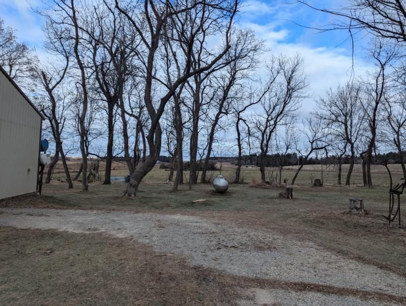 A house is surrounded by trees and a gravel road