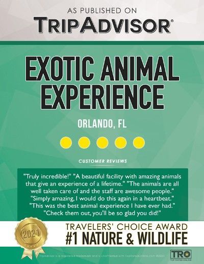 Exotic Animal Experience in the Orlando, FL