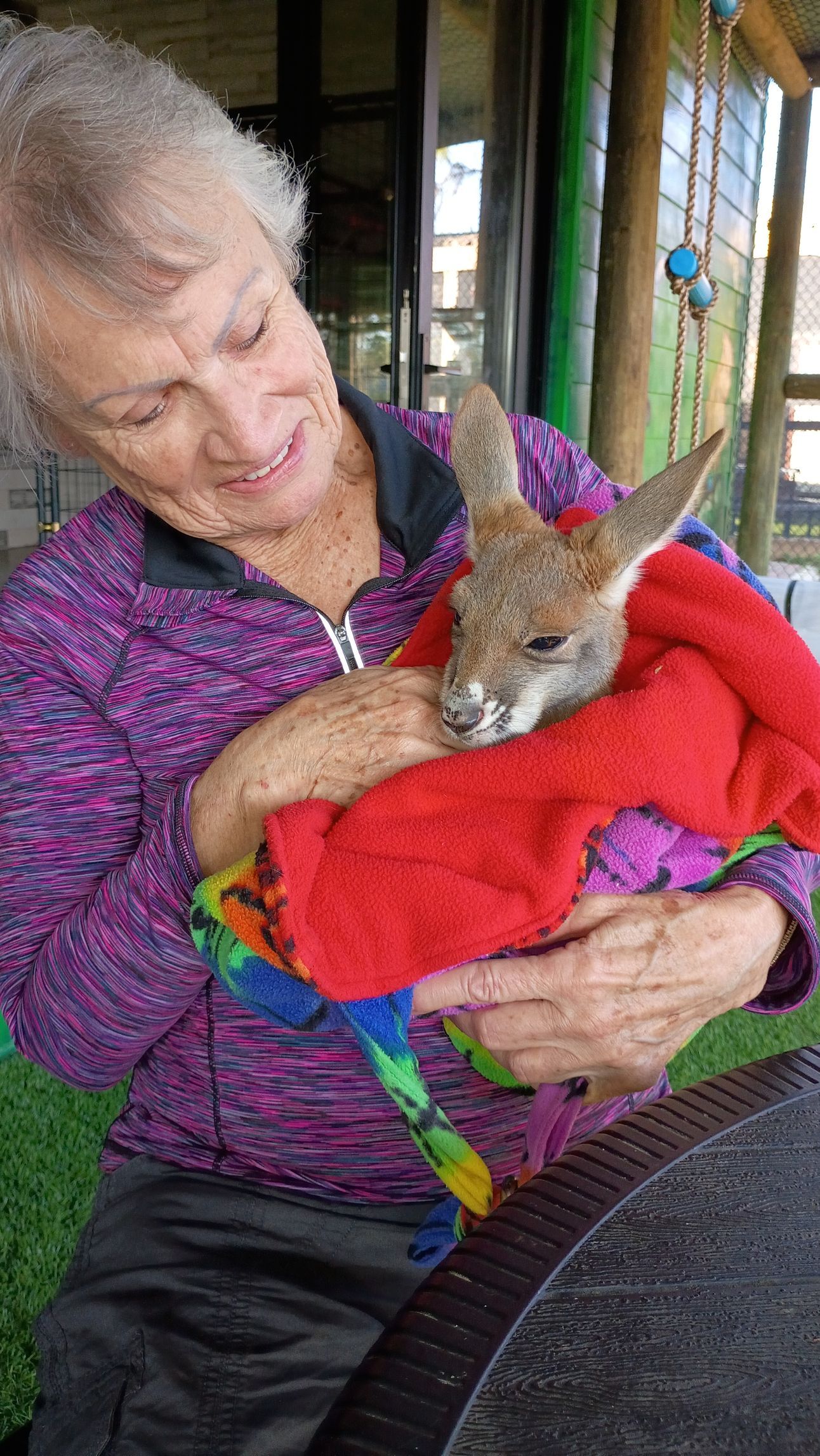 Woman holding a baby kangaroo wrapped in a red blanket; outdoors on a patio.