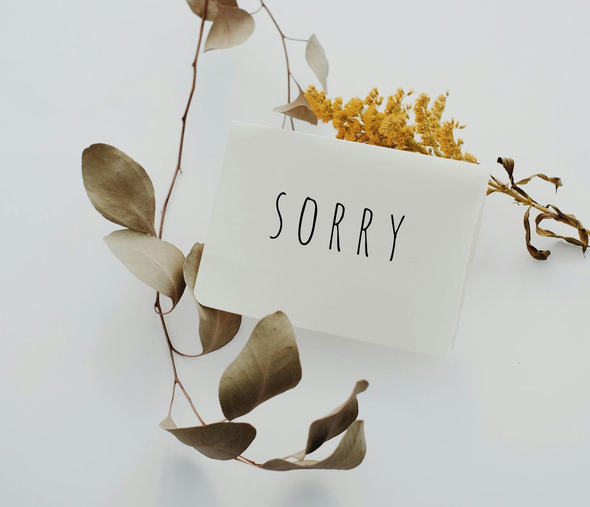 Our cancelation policy