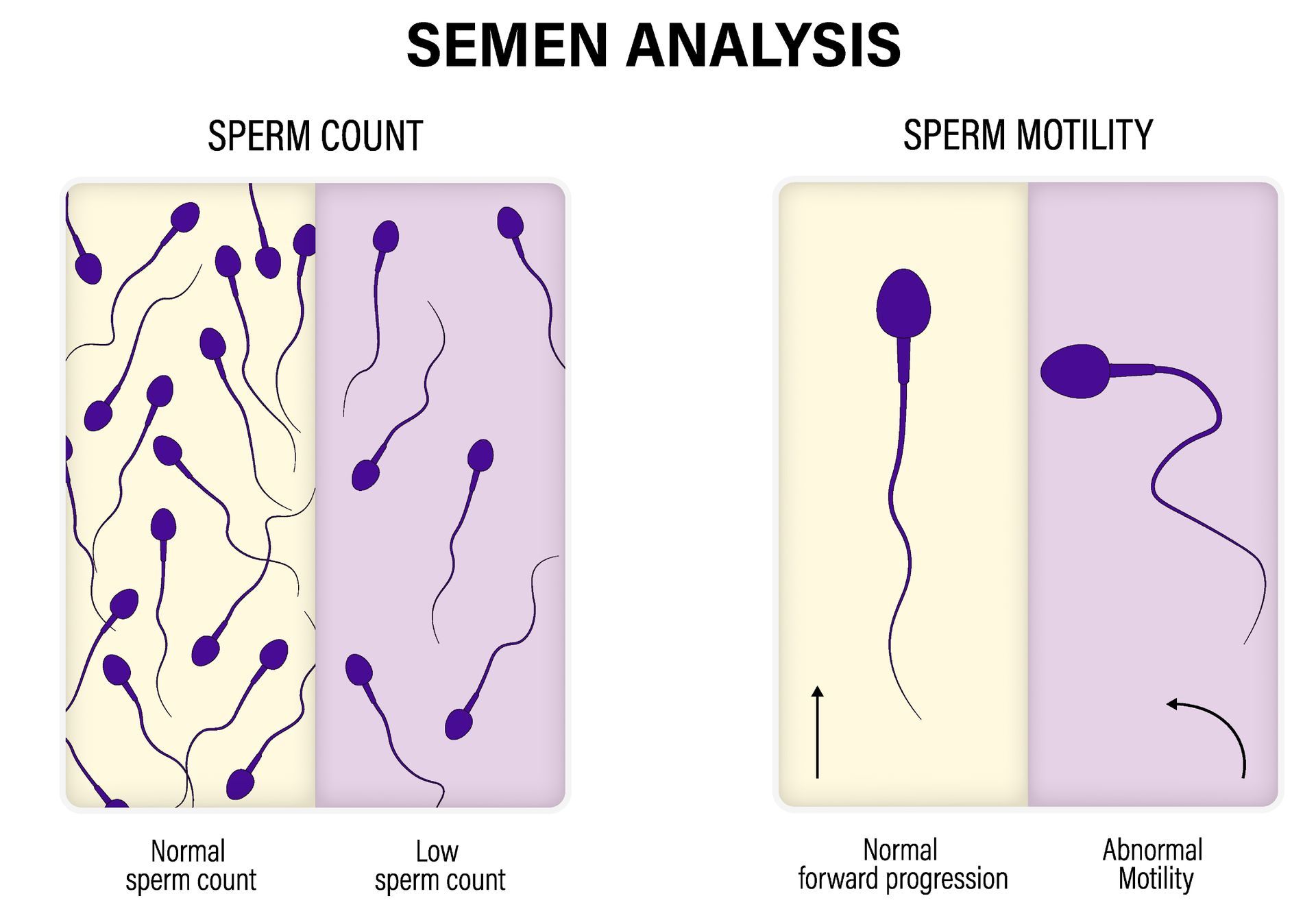 Improve sperm count and motility withChinese medicine