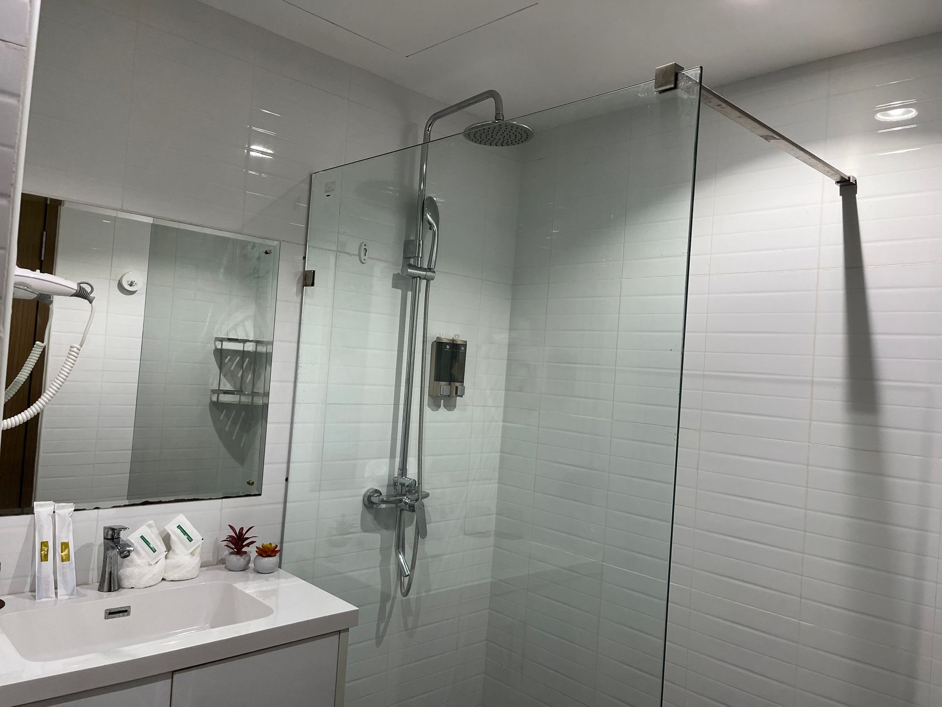 A bathroom with a walk in shower , sink and mirror.