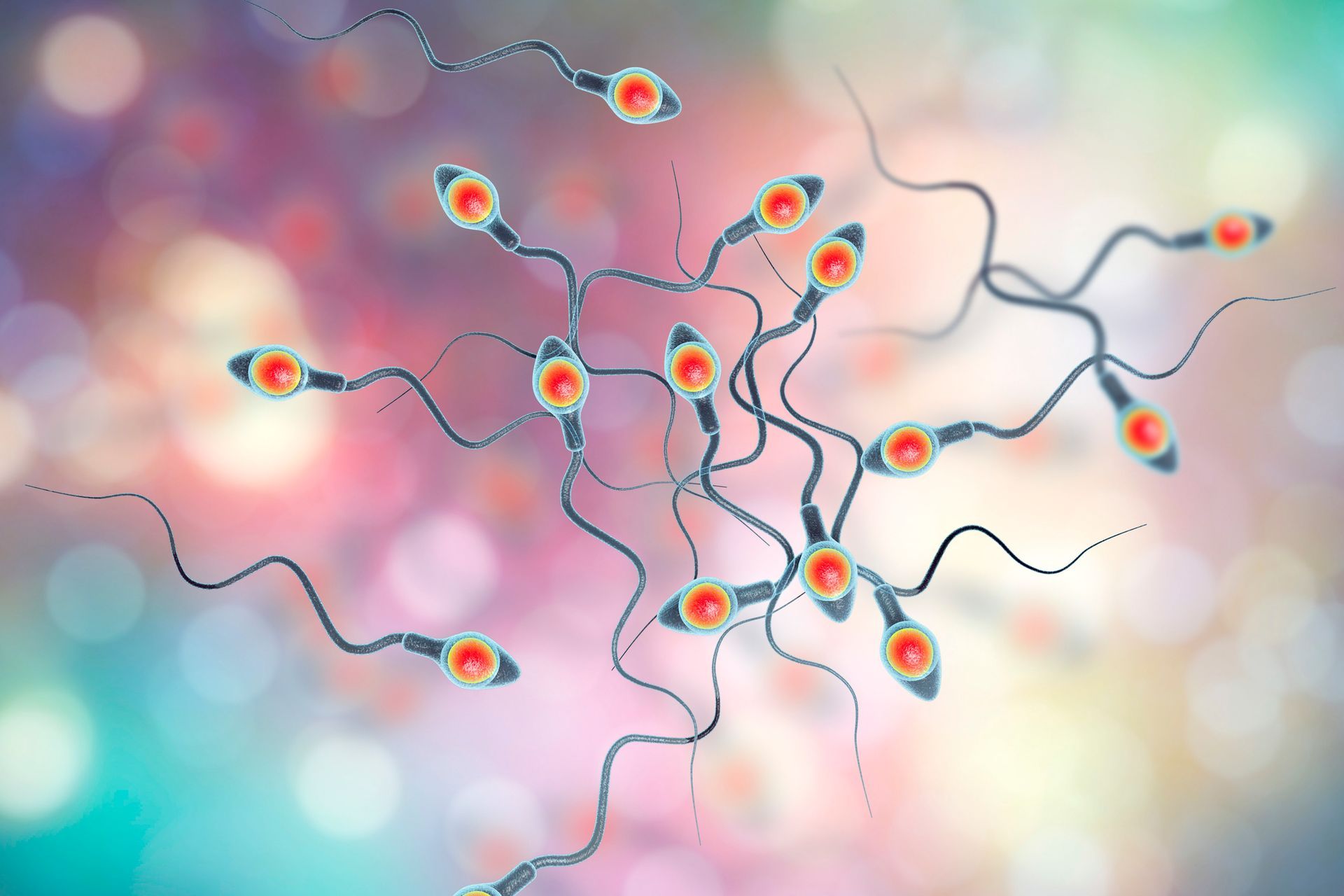 INTOLLERANZE ALIMENTARI LECCE