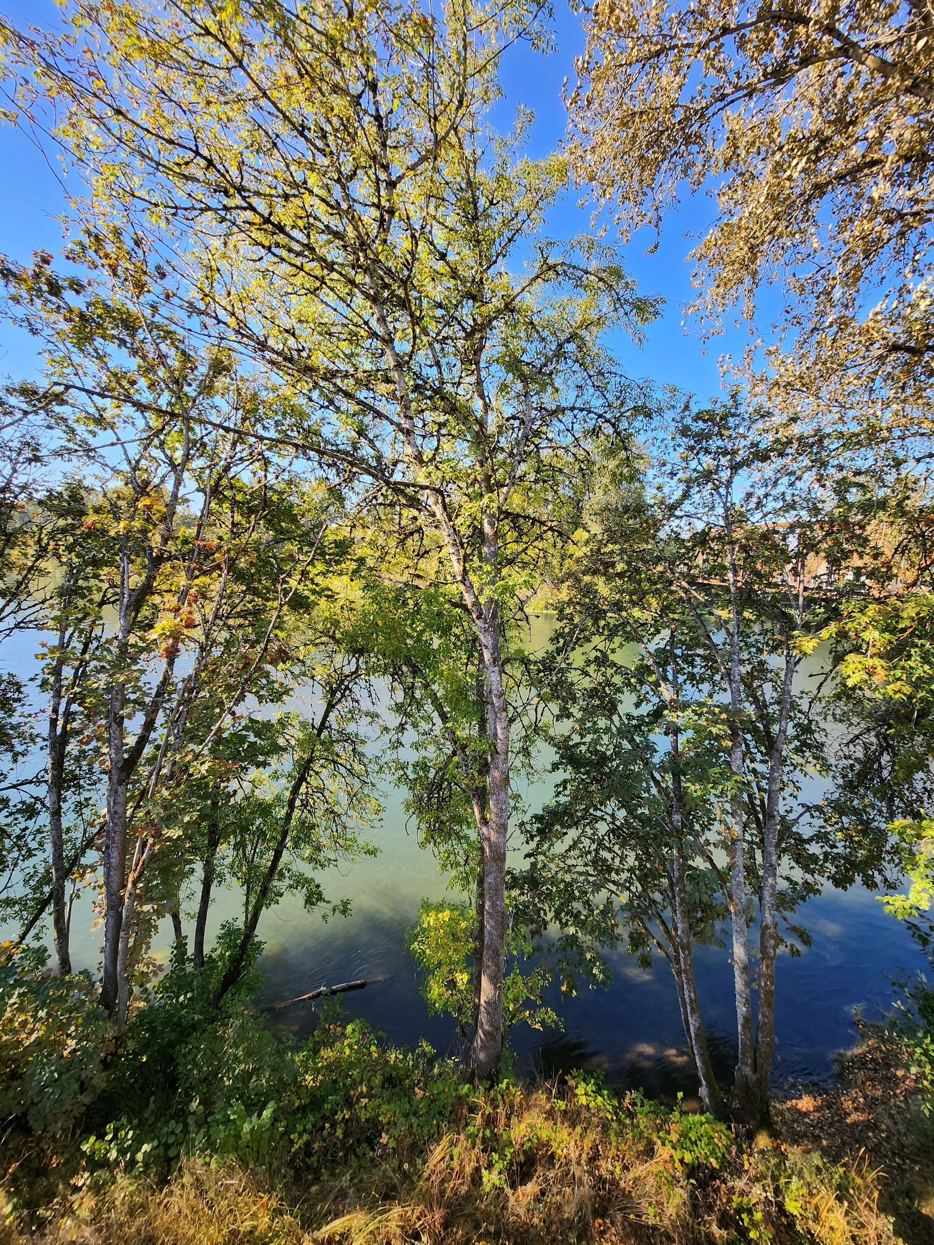 Jefferson Terrace Apartments in Jefferson Oregon – riverfront view -2.