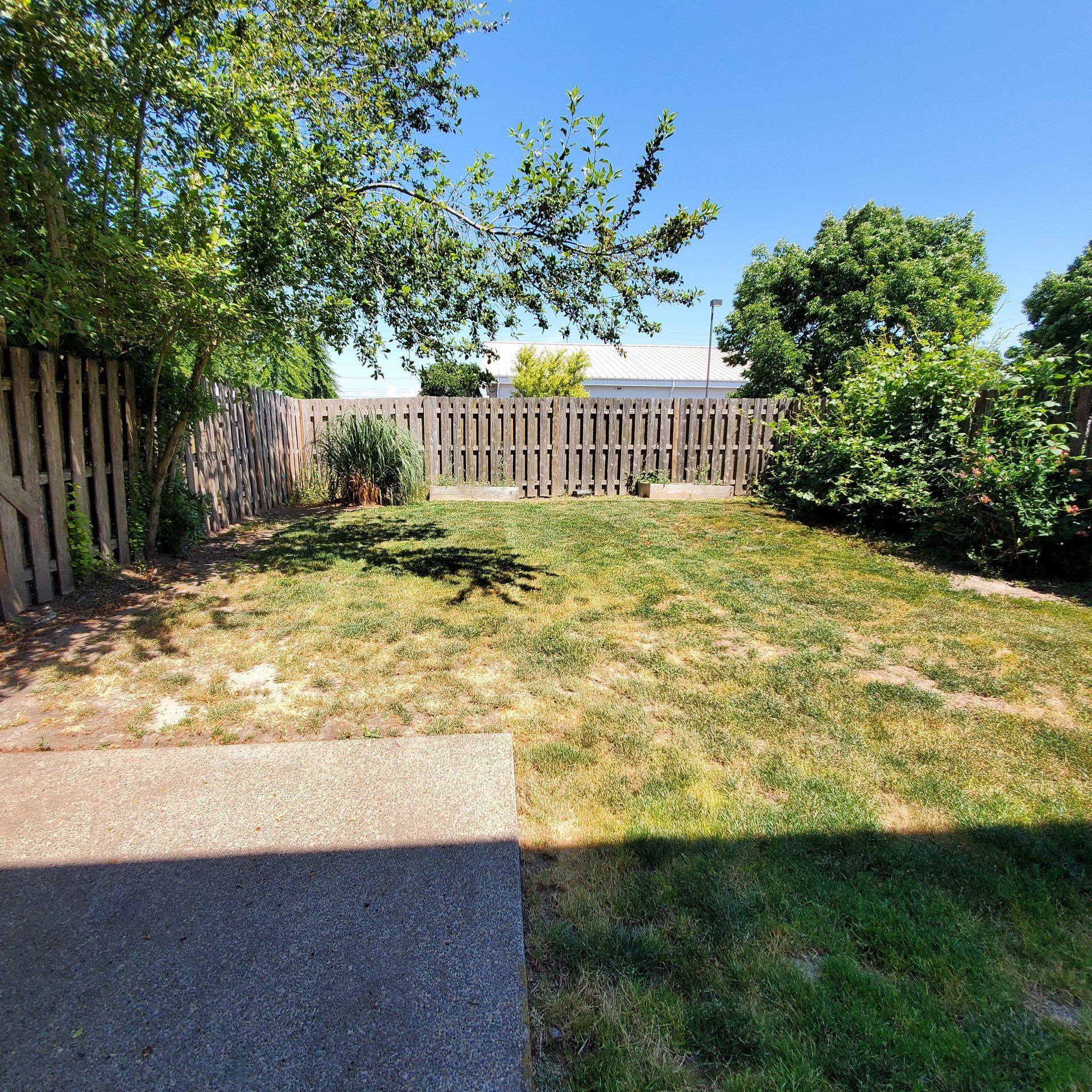 Meadowridge Townhomes in Monmouth Oregon – large grassy backyard.