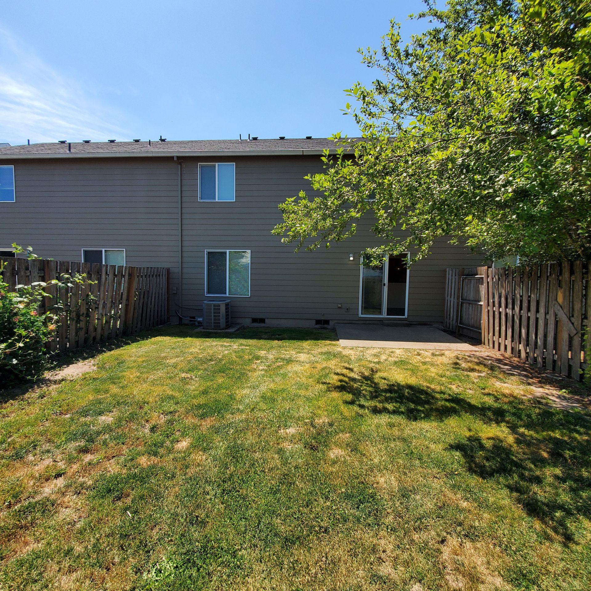 Meadowridge Townhomes in Monmouth Oregon – olive green back exterior with many windows and a large deciduous tree.