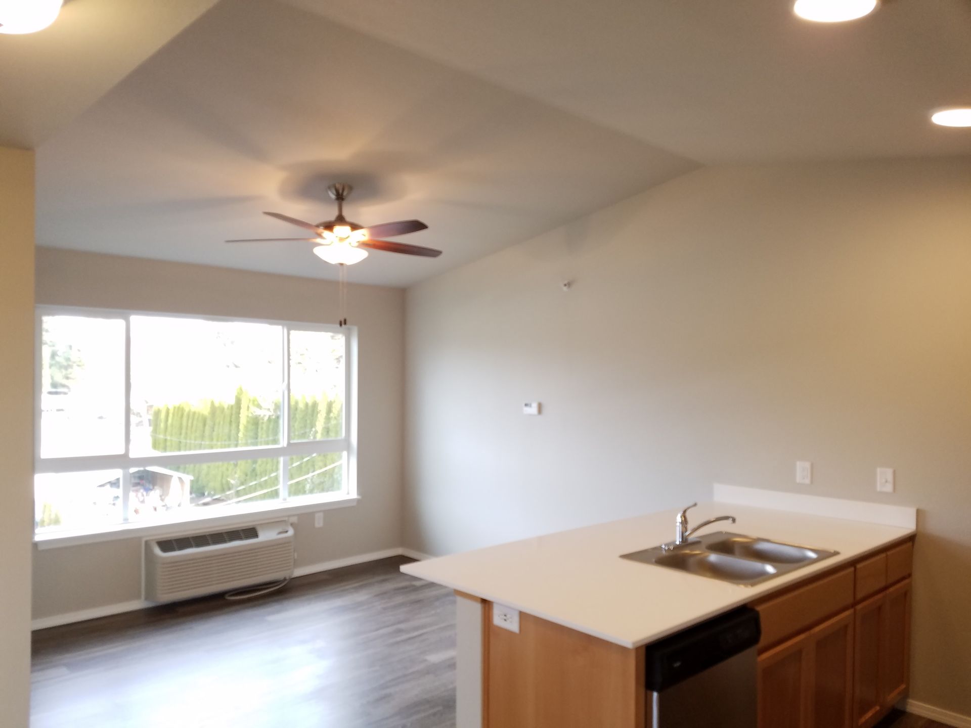 Pleasant View Apartments in Keizer Oregon, One-Bedroom one-bathroom – living room, heater, living room window, from kitchen
