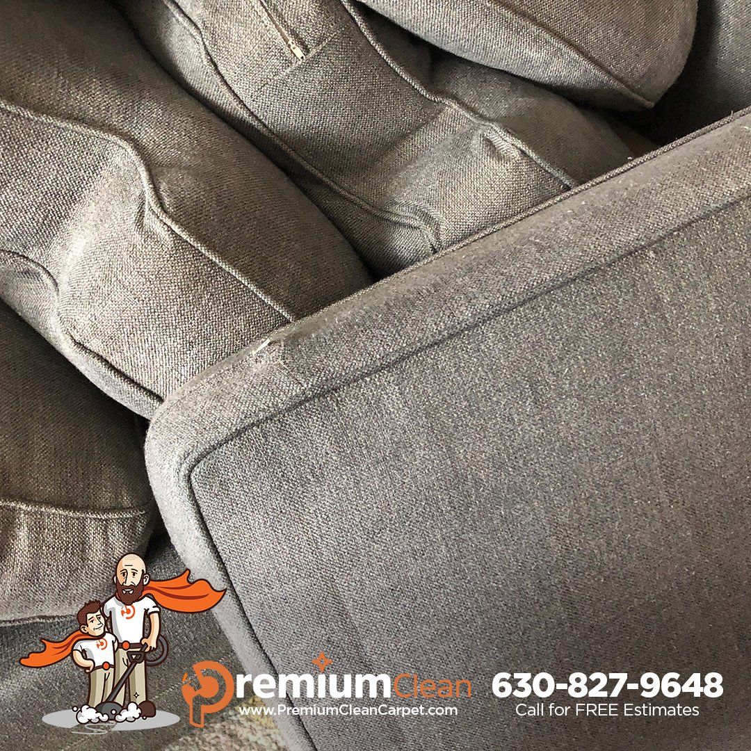 Professional Carpet Cleaners Carol Stream IL
