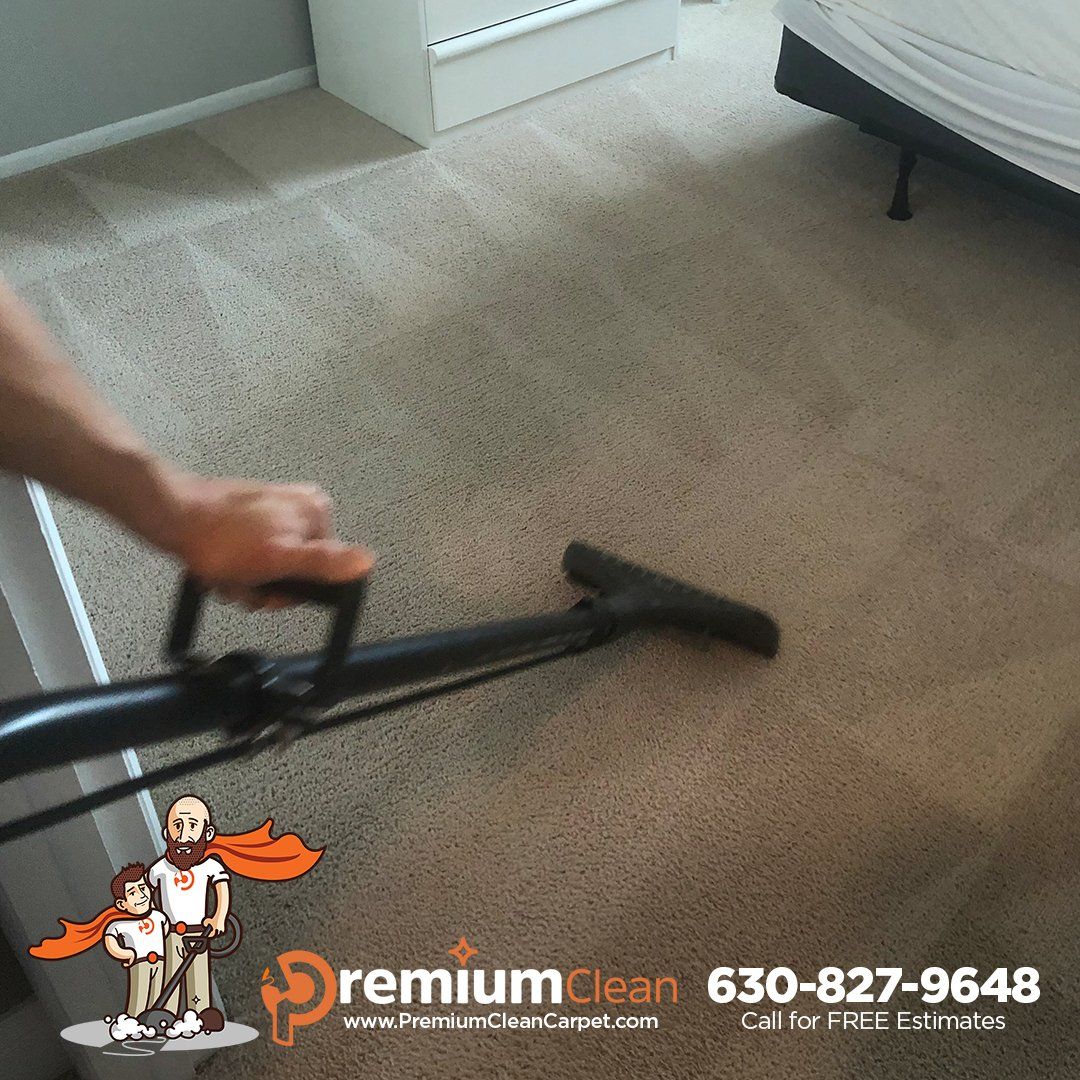 Professional Carpet Cleaners Glen Ellyn IL