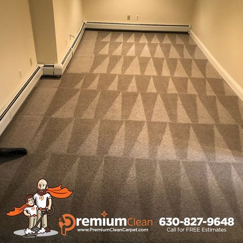 Carpet Cleaning Service in Winfield, IL
