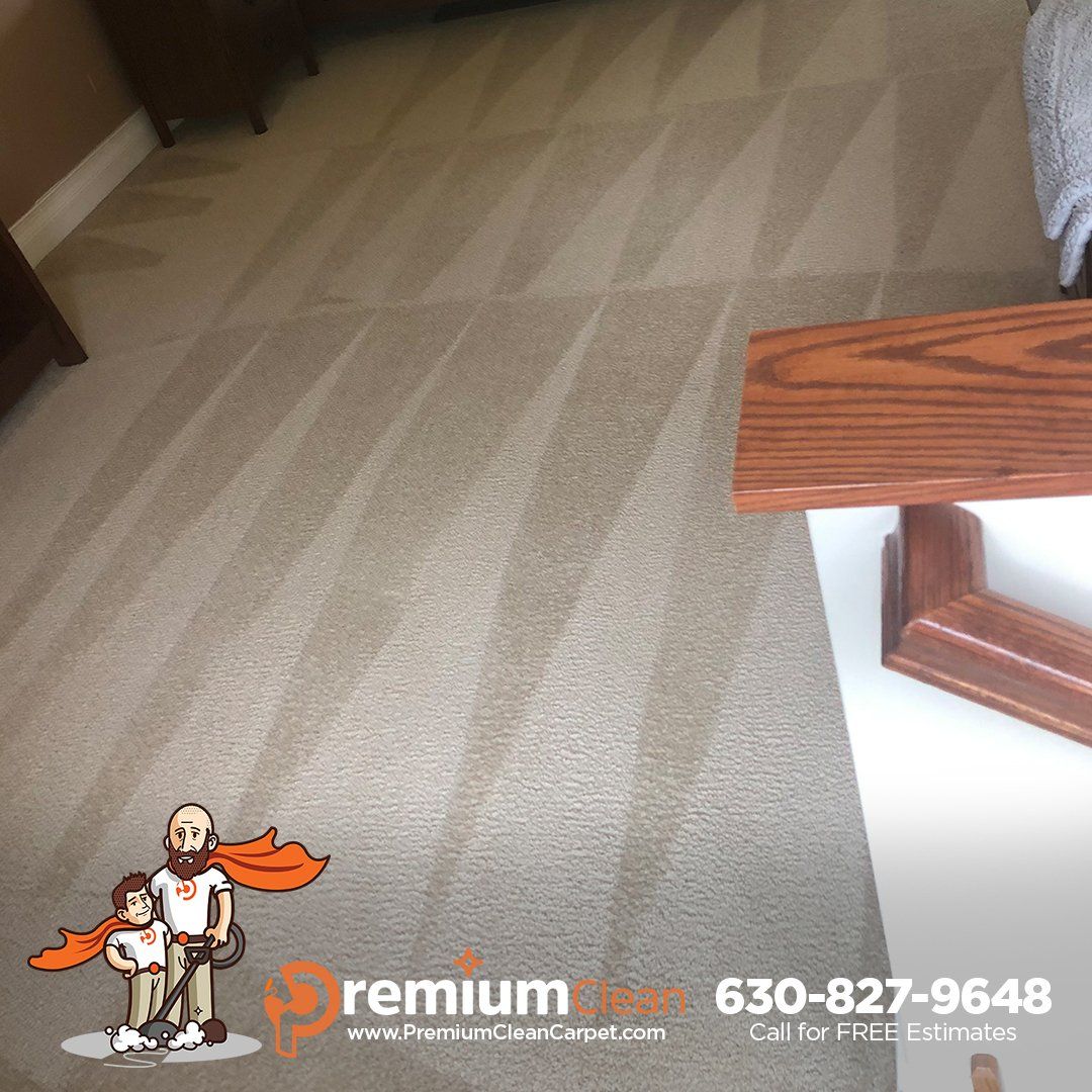 Carpet Cleaning Service in St. Charles, IL