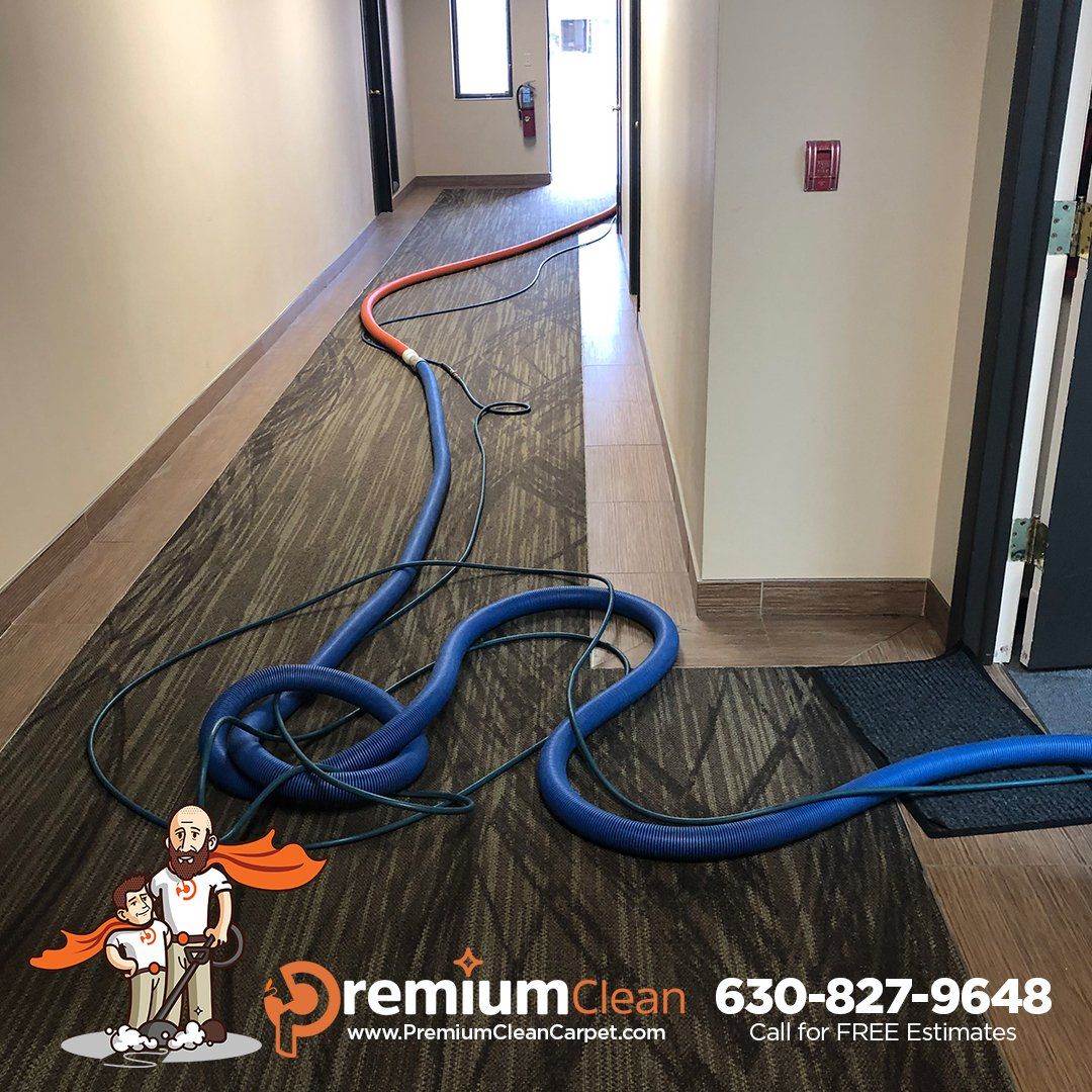 Carpet Cleaning Service in Addison, IL