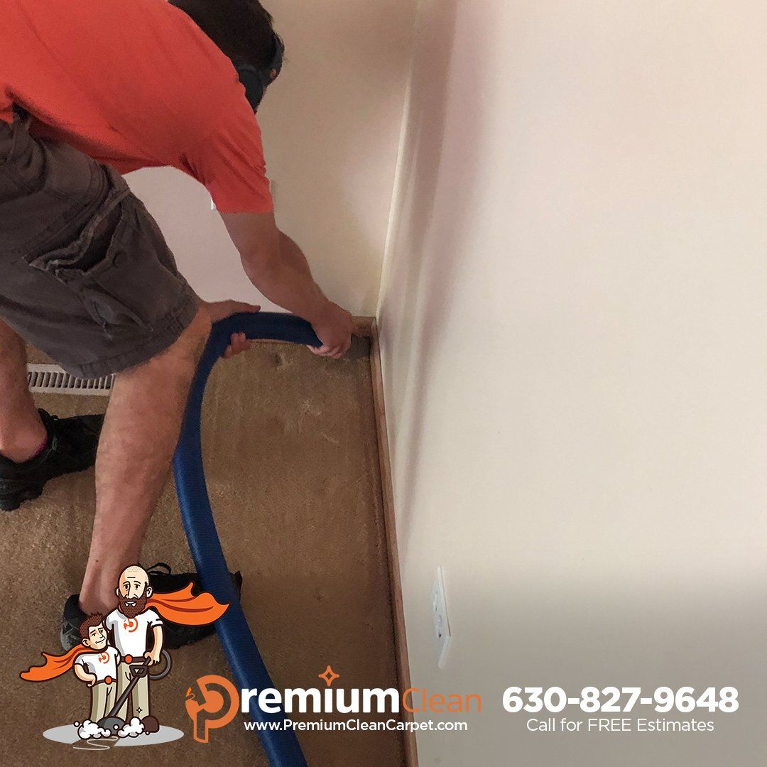Carpet Cleaning Service in West Chicago, IL