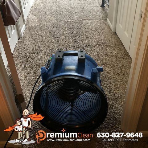 Carpet Cleaning Service in St. Charles, IL